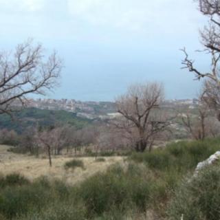 Prodej stavební parcely, 4732m&sup2;