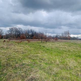 Prodej stavební parcely, 11732m&sup2;