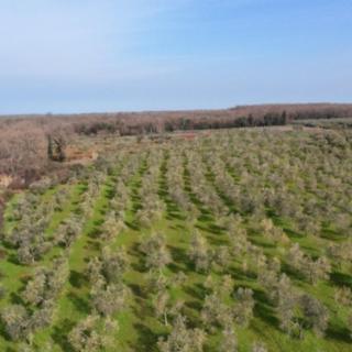 Prodej stavební parcely, 17202m²