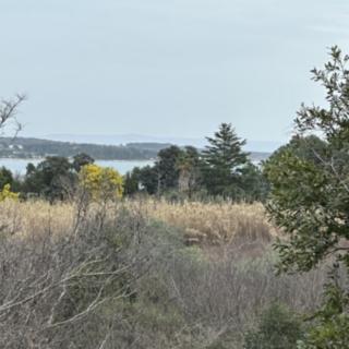 Prodej stavební parcely, 3020m²