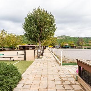 Prodej stavební parcely, 20000m&sup2;