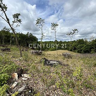 Prodej komerčního pozemku, 930m²