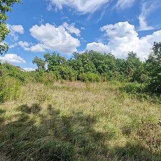 Prodej stavební parcely, 1957m&sup2;