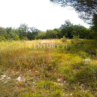 Prodej komerčního pozemku, 1451m&sup2;