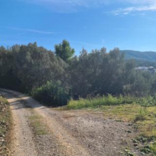 Prodej stavební parcely, 580m²