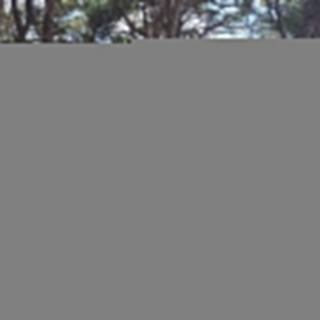 Prodej stavební parcely, 1160m&sup2;