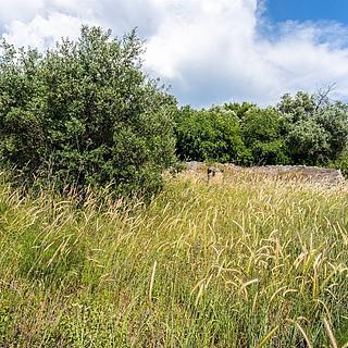 Prodej stavební parcely, 910m&sup2;