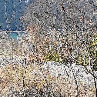 Prodej stavební parcely, 1299m&sup2;