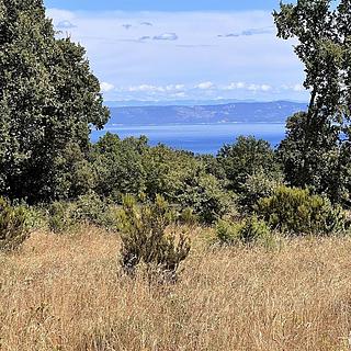 Prodej stavební parcely, 1071m&sup2;