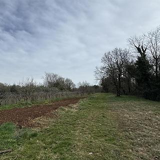 Prodej stavební parcely, 1252m&sup2;