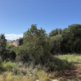 Prodej stavební parcely, 1236m²