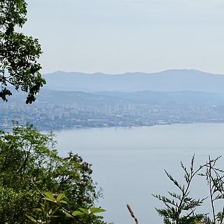 Prodej stavební parcely, 2054m²