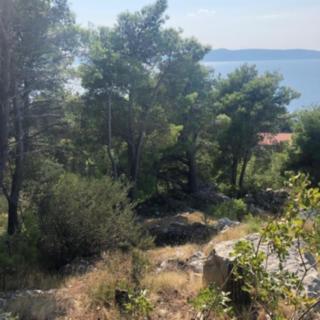 Prodej stavební parcely, 803m²