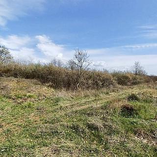 Prodej stavební parcely, 2970m&sup2;