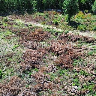 Prodej komerčního pozemku, 1350m&sup2;