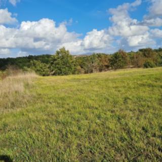 Prodej stavební parcely, 6143m²