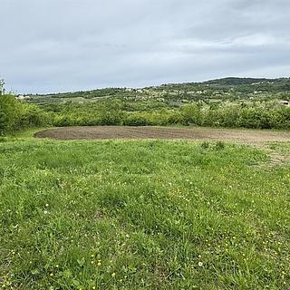 Prodej stavební parcely, 5000m²