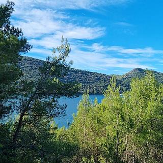 Prodej stavební parcely, 216904m&sup2;