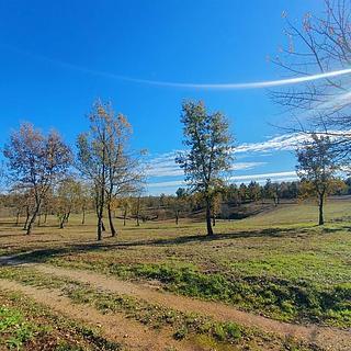 Prodej stavební parcely, 1226m&sup2;