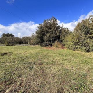 Prodej stavební parcely, 715m²