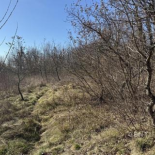 Prodej stavební parcely, 675m&sup2;