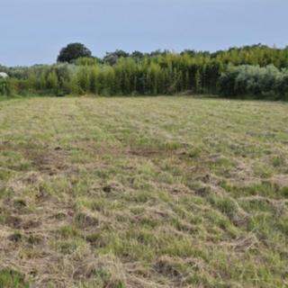 Prodej stavební parcely, 1367m²