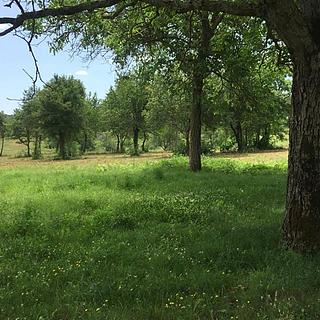 Prodej stavební parcely, 8289m&sup2;