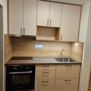 Pronájem bytu 2+1 49 m² Praha Holešovice, Šternberkova