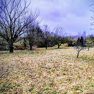 Prodej stavební parcely, 907m&sup2;