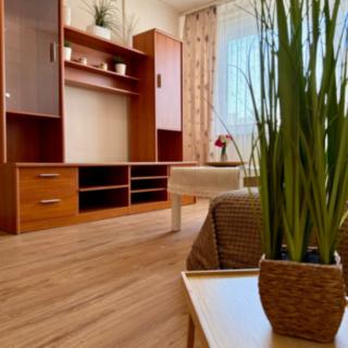 Prodej bytu 2+kk 45 m² Praha