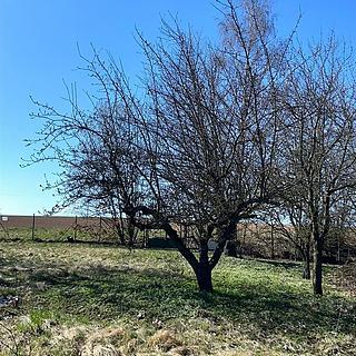 Prodej stavební parcely 907 m² Loukovec