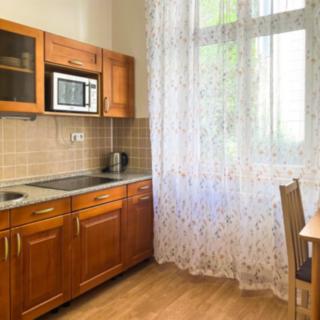 Pronájem bytu 1+1 39 m² Karlovy Vary