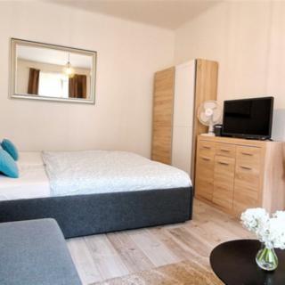 Pronájem bytu 1+kk a garsoniéry 35 m² Praha Nové Město, Truhlářská