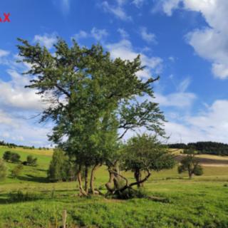 Prodej stavební parcely 1 169 m² Malá Morava Křivá Voda