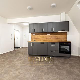 Pronájem bytu 3+kk 48 m&sup2; Teplice