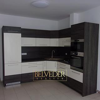 Pronájem bytu 2+kk 46 m² Teplice