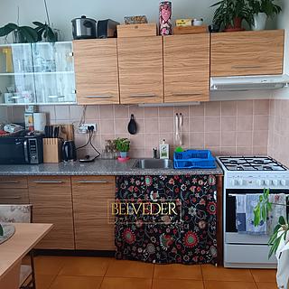 Pronájem bytu 1+1 35 m² Teplice, Vančurova