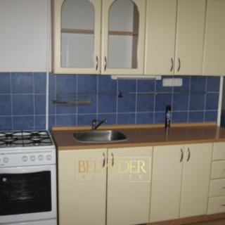 Pronájem bytu 1+1 34 m² Teplice, Pod Doubravkou