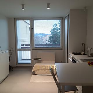 Pronájem bytu 1+kk, garsoniery 26 m² Teplice