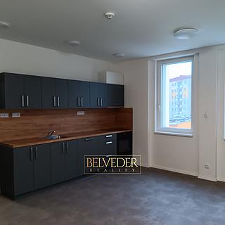 Pronájem bytu 4+kk 70 m² Teplice
