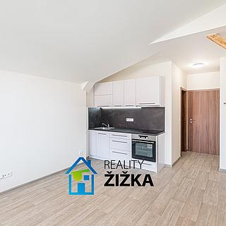 Pronájem bytu 1+kk a garsoniéry 24 m² Rousínov, Sušilovo náměstí