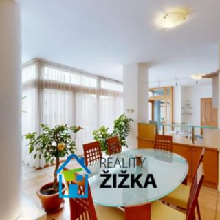 Prodej rodinného domu 230 m² Brno