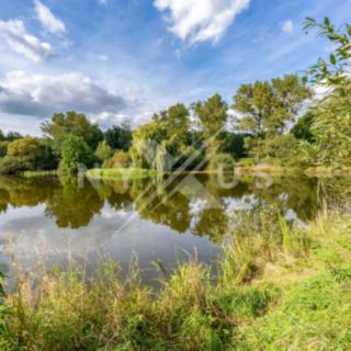 Prodej vodní plochy 6 830 m²