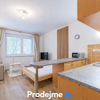 Pronájem bytu 1+kk a garsoniéry 29 m² Dobšice, V Zahradách