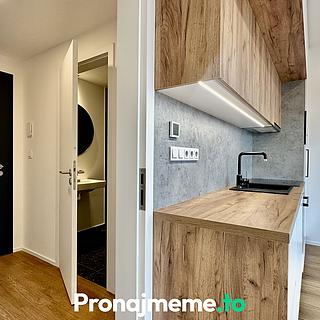 Pronájem bytu 1+kk a garsoniéry 36 m² Znojmo, Vídeňská třída