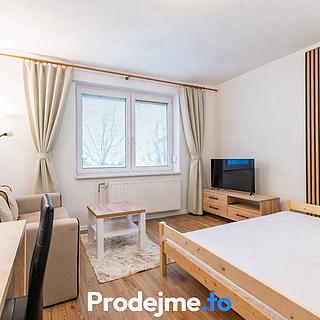 Pronájem bytu 1+kk a garsoniéry 29 m² Dobšice, V Zahradách