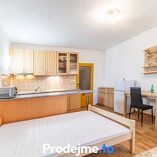 Pronájem bytu 1+kk a garsoniéry 29 m² Dobšice, V Zahradách