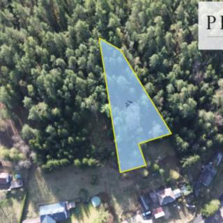 Prodej lesa 2 980 m² Smolné Pece