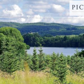 Prodej stavební parcely 455 m² Cheb