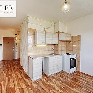 Prodej bytu 1+1 42 m² Chomutov, Holešická